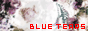 BLUE TEARS